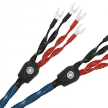 와이어월드 오아시스 8 / Wireworld Oasis 8 / 바이와이어링 스피커케이블