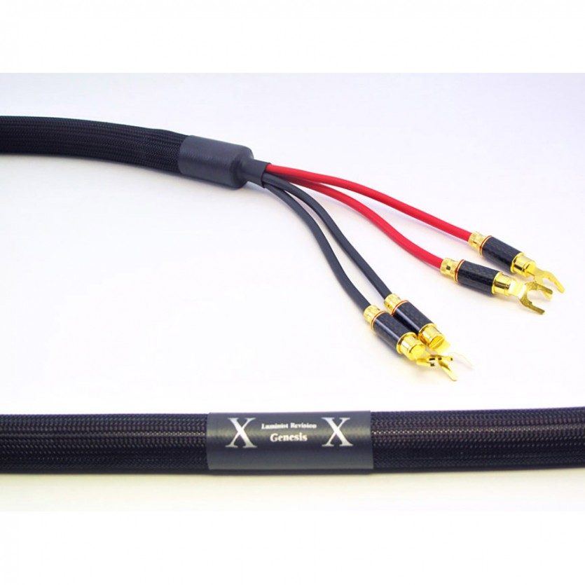 퍼스트 오디오 디자인 Genesis-SE / PAD Genesis-SE / 스피커케이블(3M)